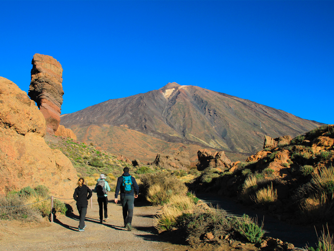 Teide Excursion Mount Teide Half Day Tour | Atlantico Excursiones